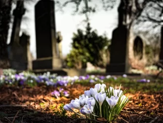 des fleurs avec un cimetière